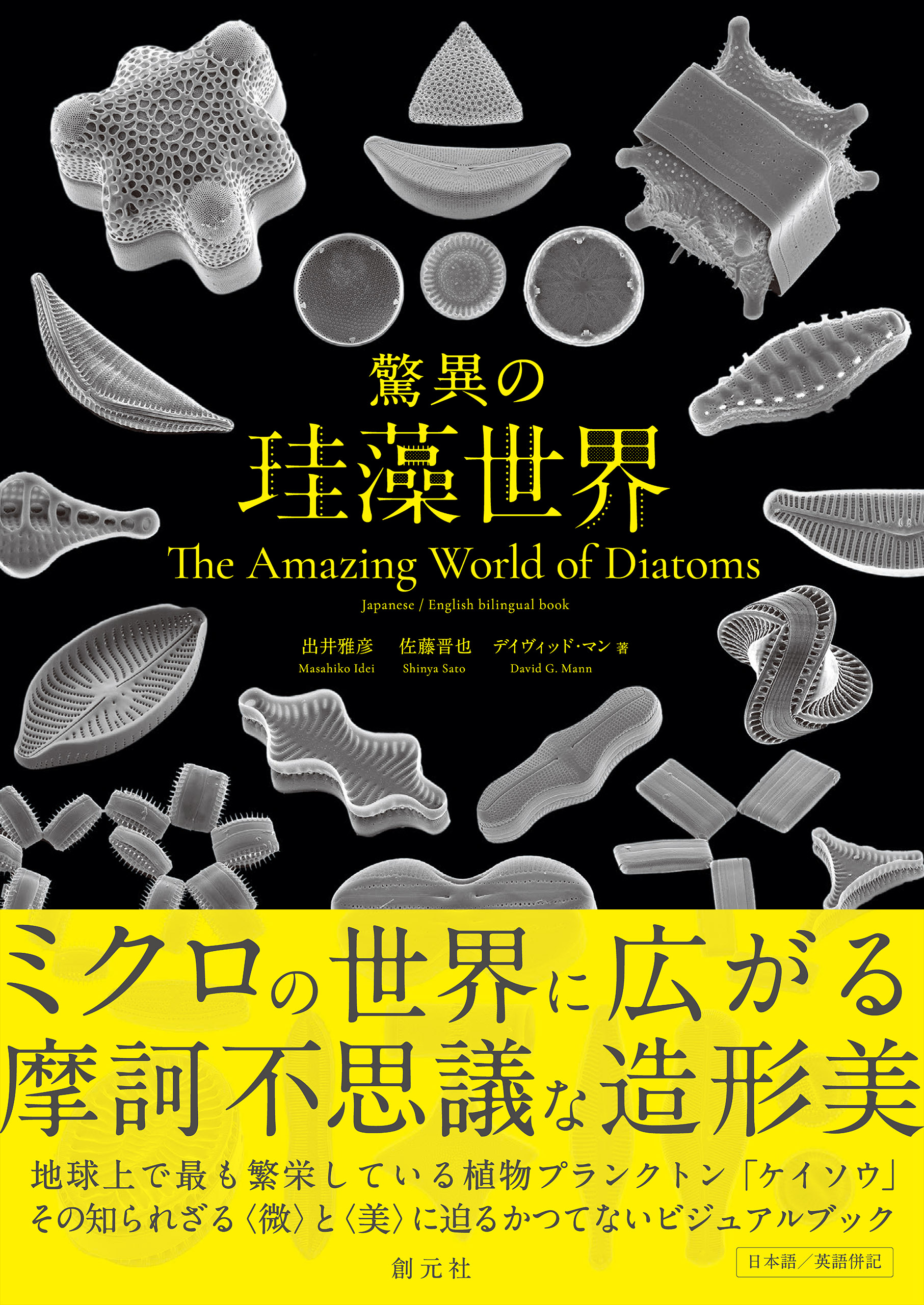 of　驚異の珪藻世界　Amazing　漫画・無料試し読みなら、電子書籍ストア　ブックライブ　The　Diatoms　World　出井雅彦/佐藤晋也