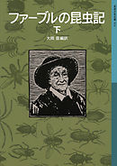 ファーブルの昆虫記　下