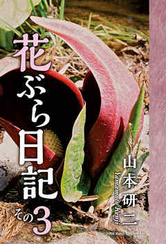 花ぶら日記 その３