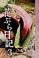 花ぶら日記 その３