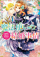 星持ちと弁当屋 1 久吉 すがはら竜 漫画 無料試し読みなら 電子書籍ストア ブックライブ