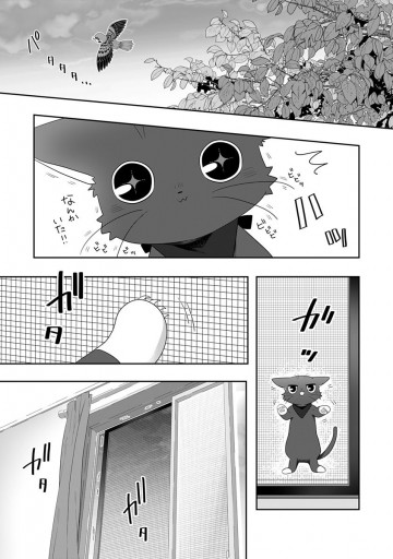 猫には猫の猫ごはん 8 漫画 無料試し読みなら 電子書籍ストア ブックライブ