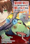異世界の戦士として国に招かれたけど、断って兵士から始める事にした （12）