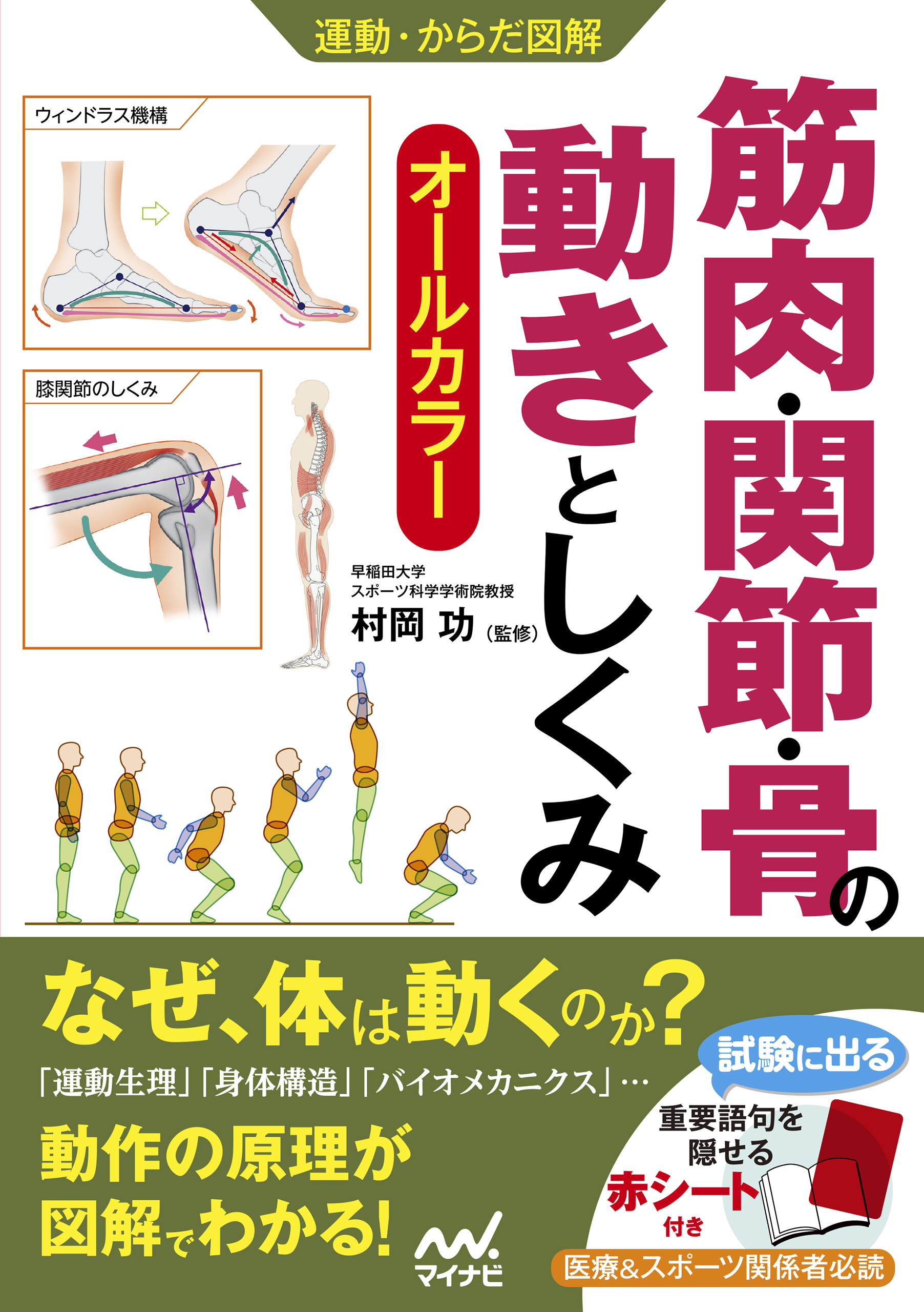 動作でわかる筋肉の基本としくみ : オールカラー図解 - 健康・医学