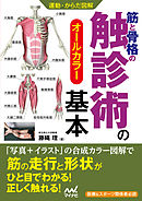 運動・からだ図解　筋と骨格の触診術の基本