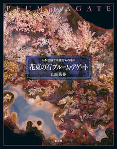 花束の石 プルーム・アゲート