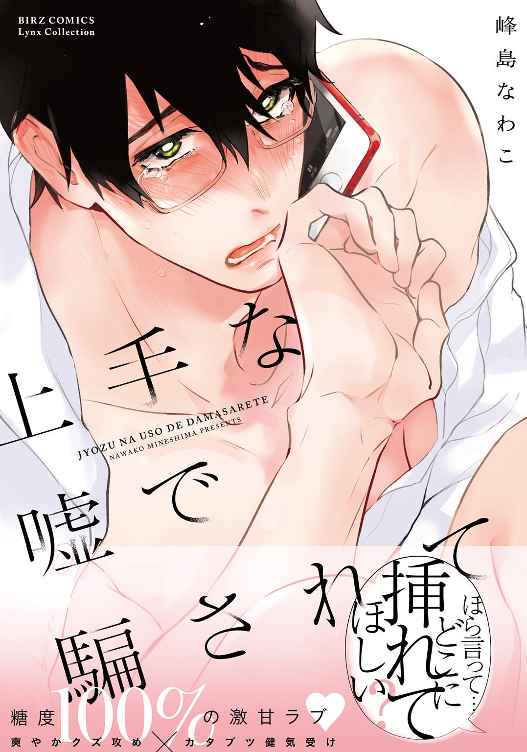 上手な嘘で騙されて 【電子限定おまけ付き】 - 峰島なわこ - BL