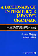 A Dictionary of Intermediate Japanese Grammar 日本語文法辞典【中級編】