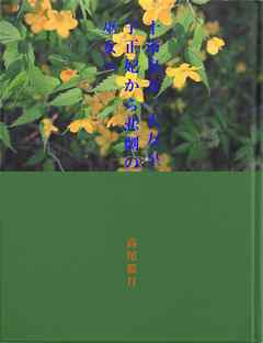 十市皇女　大友皇子正妃から悲劇の巫女へ