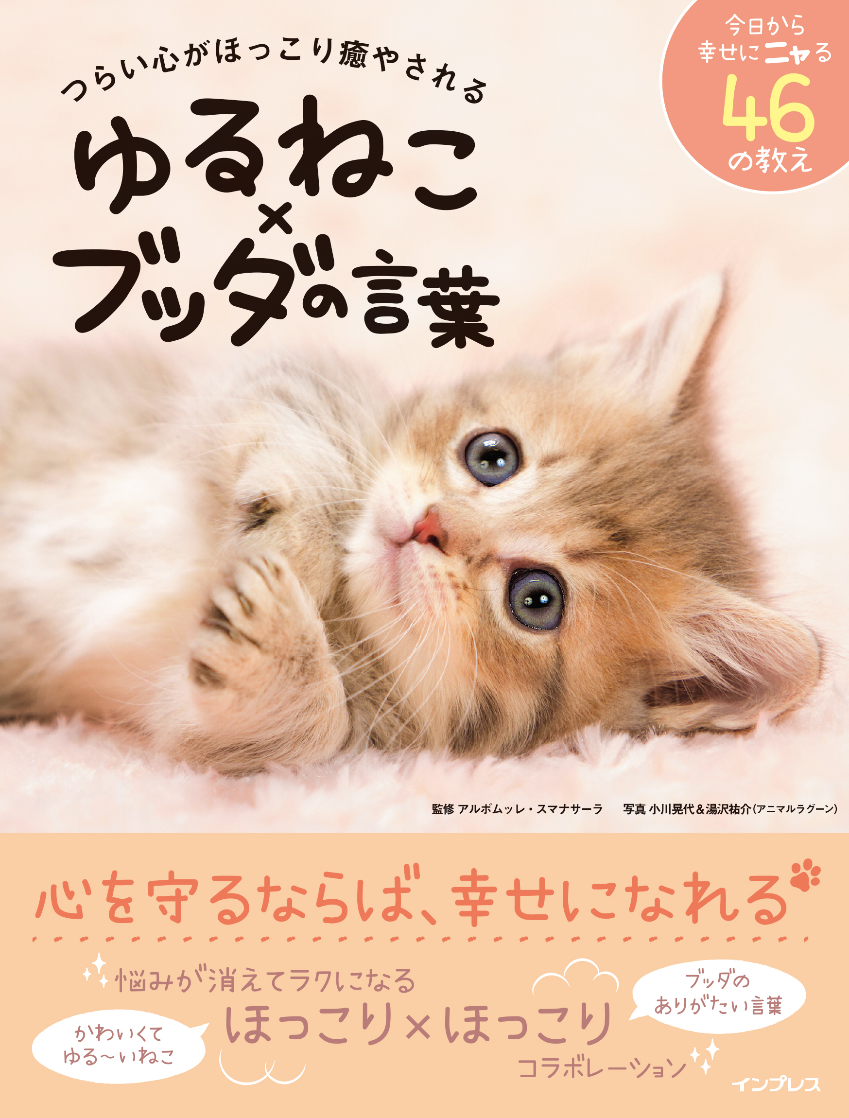 癒漓猫†様専用ページ - クラフト・布製品