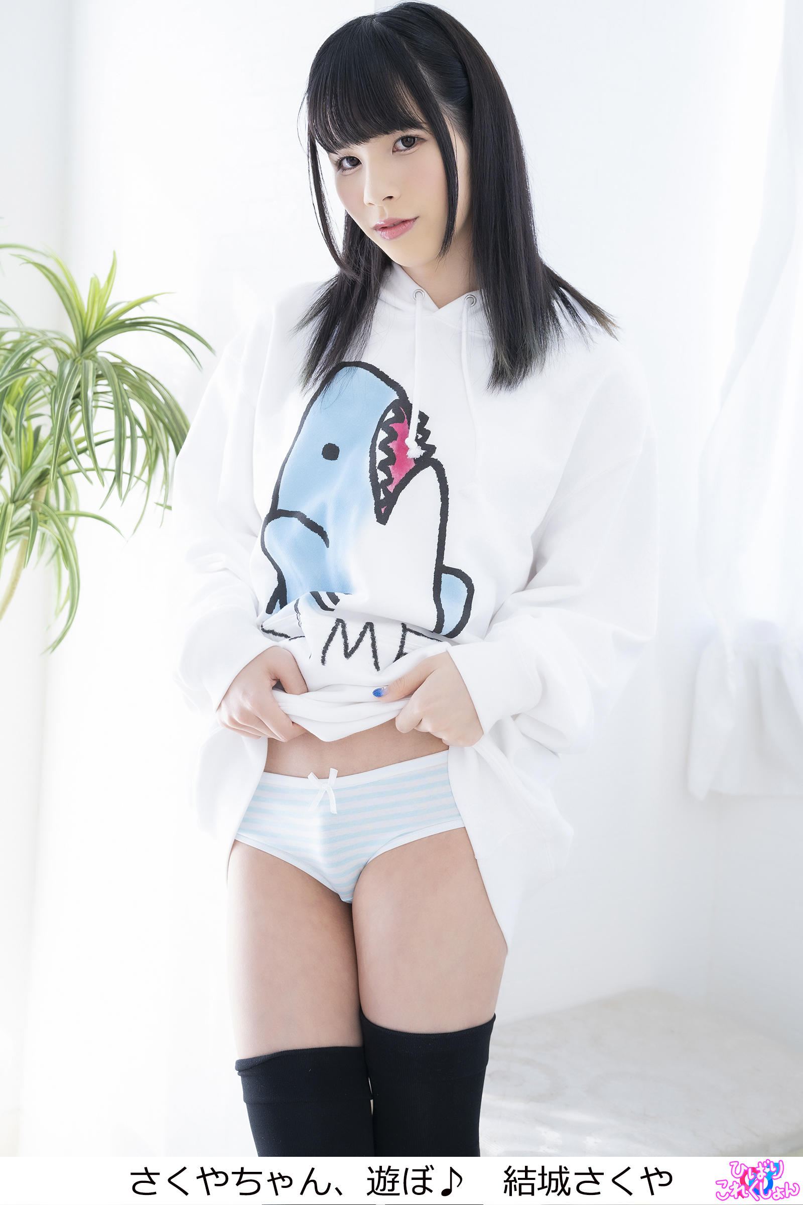 結城 さくや