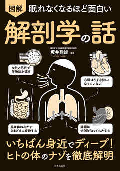 眠れなくなるほど面白い 図解 解剖学の話 - 坂井建雄 - 漫画