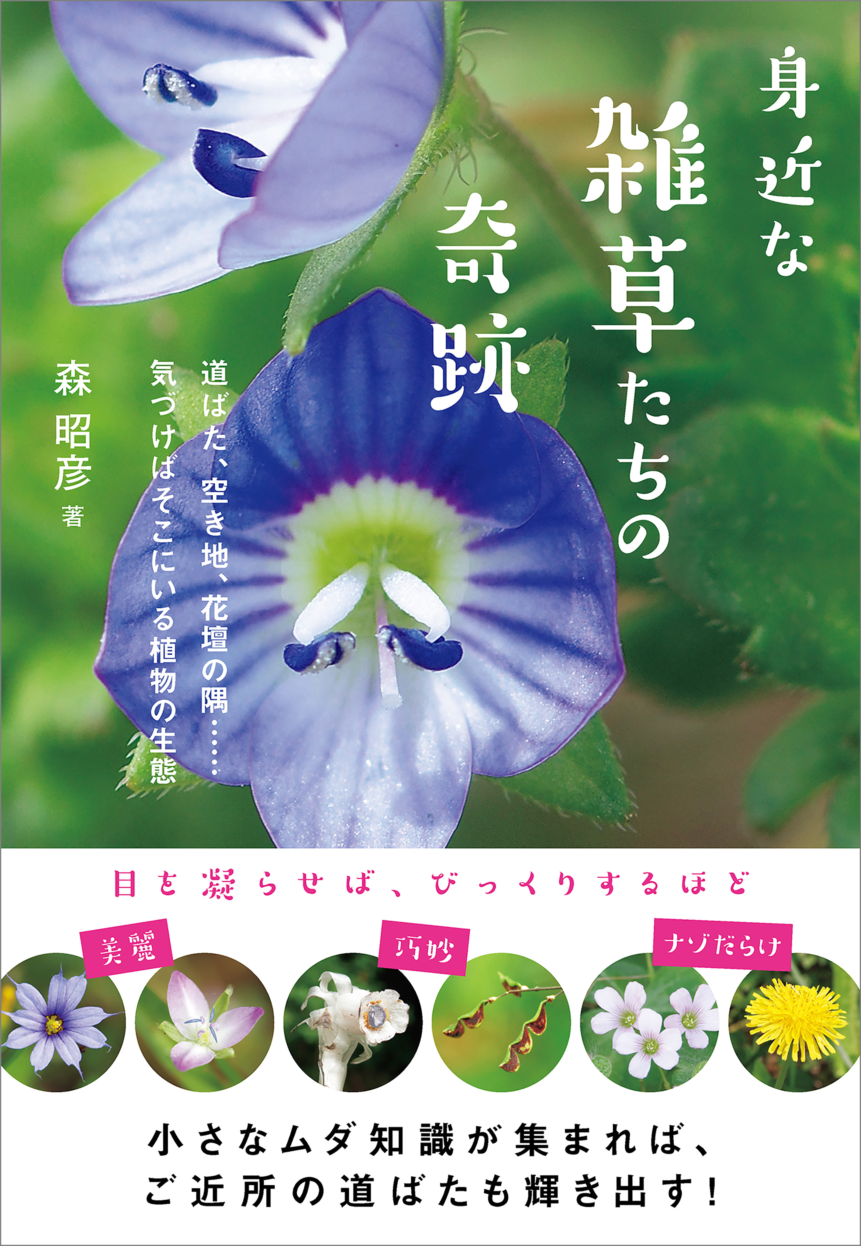 身近な雑草たちの奇跡 道ばた 空き地 花壇の隅 気づけばそこにいる植物の生態 漫画 無料試し読みなら 電子書籍ストア ブックライブ