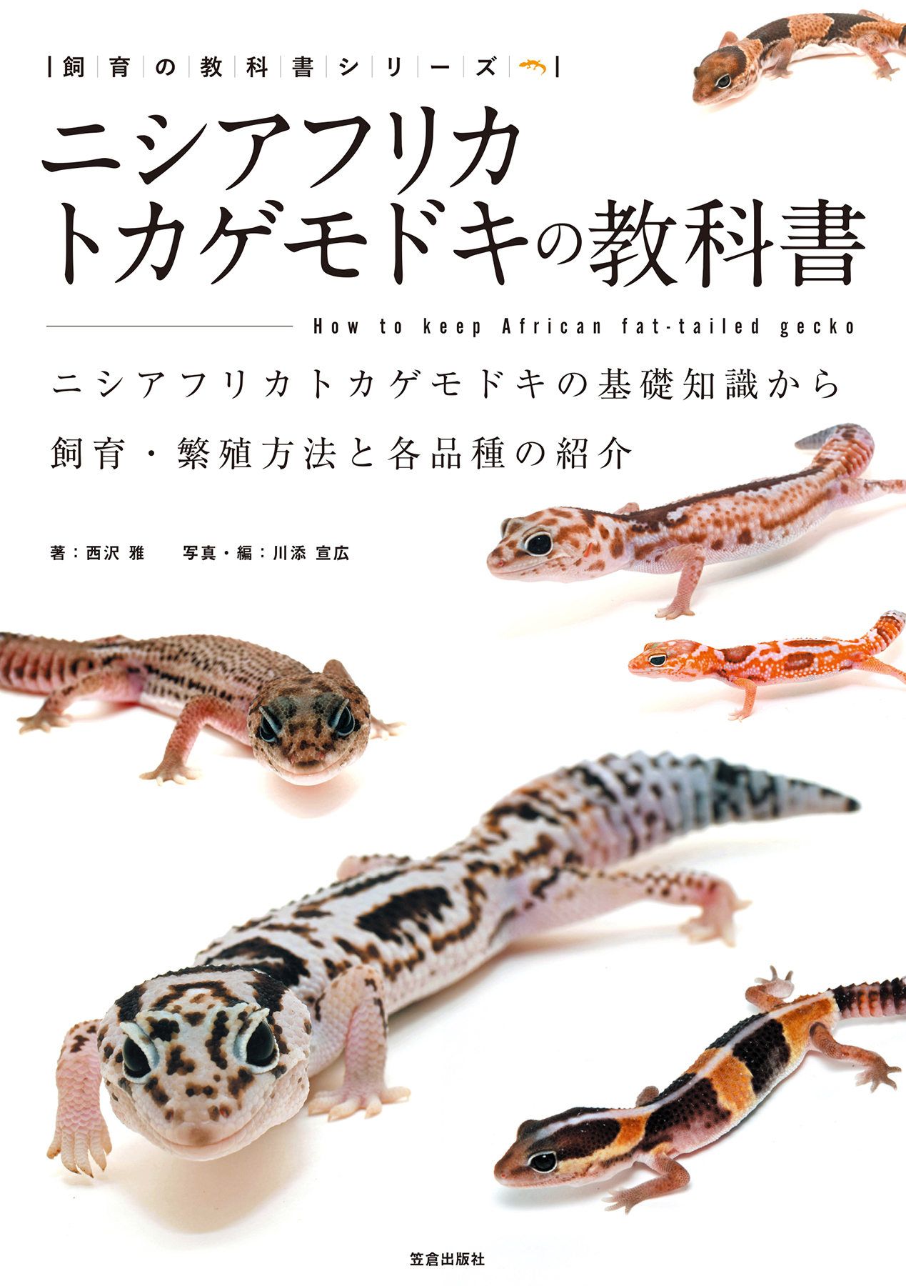 有尾類の教科書 イモリ・サンショウウオの仲間の紹介と各種類の飼育