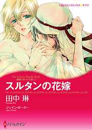 スルタンの花嫁〈異国で見つけた恋 Ｉ〉【分冊】