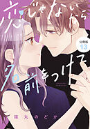 恋じゃないなら名前をつけて　分冊版（１３）