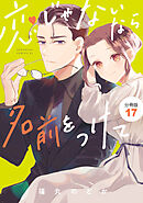 恋じゃないなら名前をつけて　分冊版（１７）