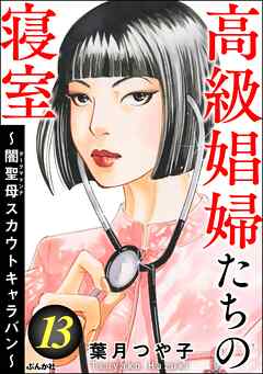 高級娼婦たちの寝室 ～闇聖母スカウトキャラバン～