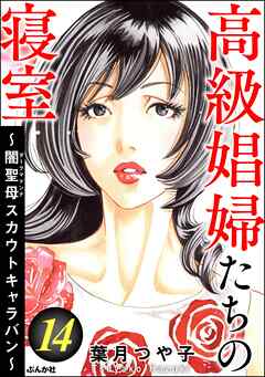 高級娼婦たちの寝室 ～闇聖母スカウトキャラバン～