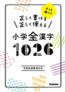 正しく書ける 正しく使える 小学全漢字1026