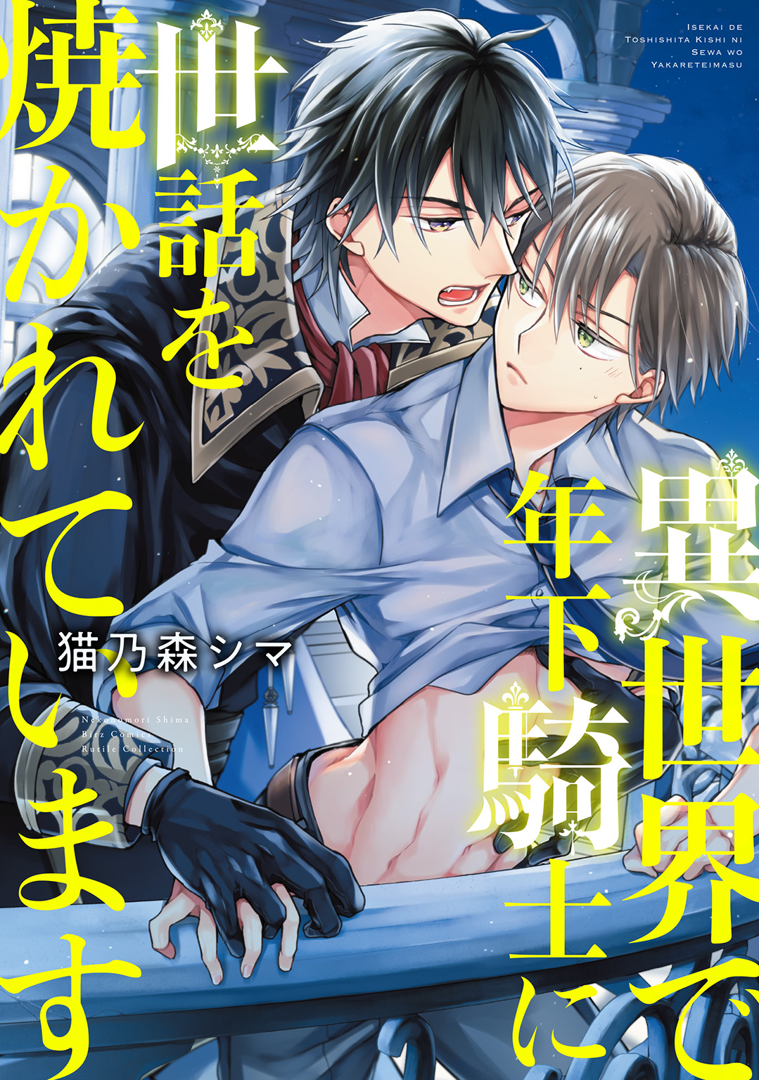 異世界で年下騎士に世話を焼かれています 【電子限定カラー収録&おまけ