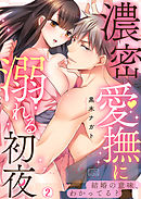 濃密愛撫に溺れる初夜～結婚の意味、わかってる？(2)