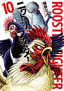 ニワトリ・ファイター(10)