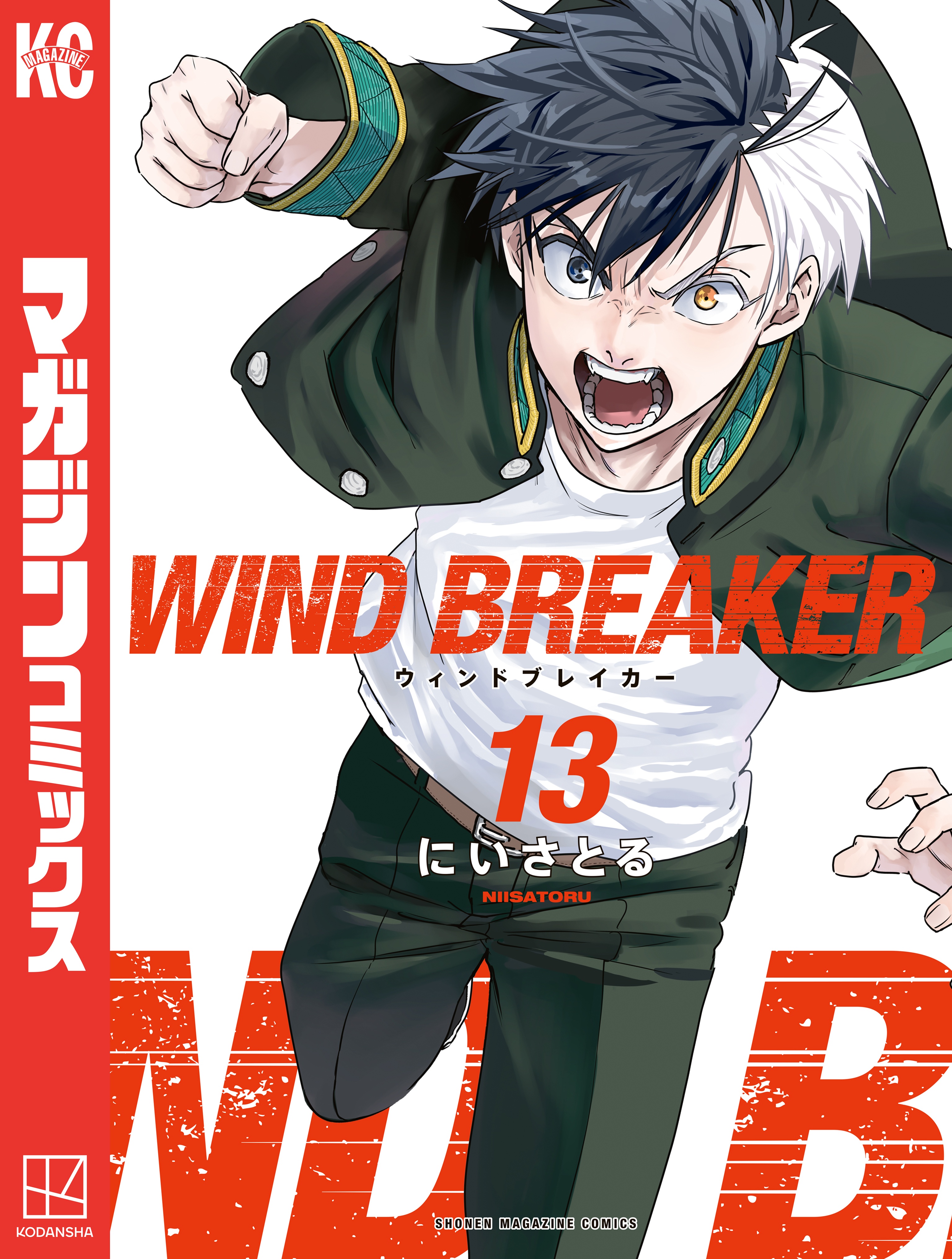 ＷＩＮＤ ＢＲＥＡＫＥＲ（１３） - にいさとる - 少年マンガ・無料 