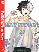 ＷＩＮＤ　ＢＲＥＡＫＥＲ（２１）