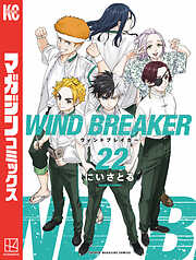 ＷＩＮＤ　ＢＲＥＡＫＥＲ（２２）