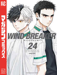 ＷＩＮＤ　ＢＲＥＡＫＥＲ（２４）