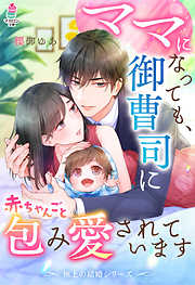 【極上の結婚シリーズ】ママになっても、御曹司に赤ちゃんごと包み愛されています