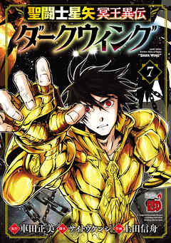 聖闘士星矢 冥王異伝 ダークウィング