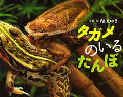 タガメのいるたんぼ