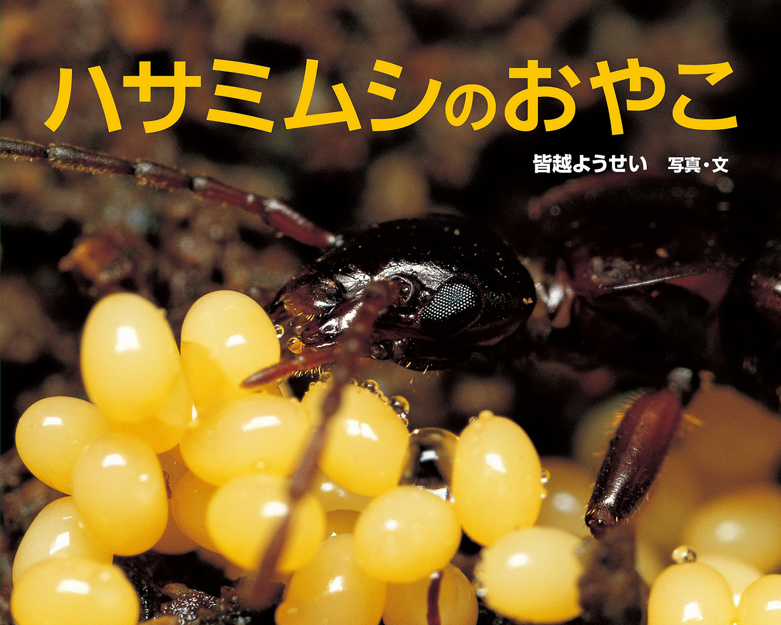 ハサミムシのおやこ 皆越ようせい 漫画 無料試し読みなら 電子書籍ストア ブックライブ