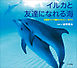 イルカと友達になれる海　～大西洋バハマ国のドルフィン・サイト～（小学館の図鑑NEOの科学絵本）