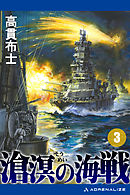 滄溟の海戦（３）
