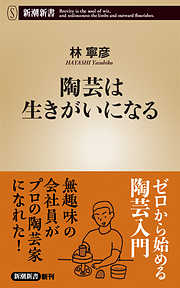 陶芸は生きがいになる（新潮新書）