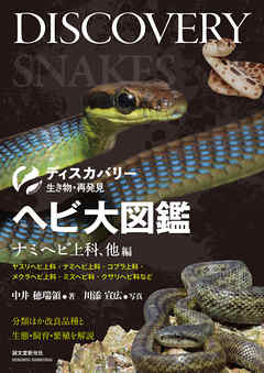 ヘビ大図鑑 ナミヘビ上科、他編：分類ほか改良品種と生態・飼育・繁殖を解説