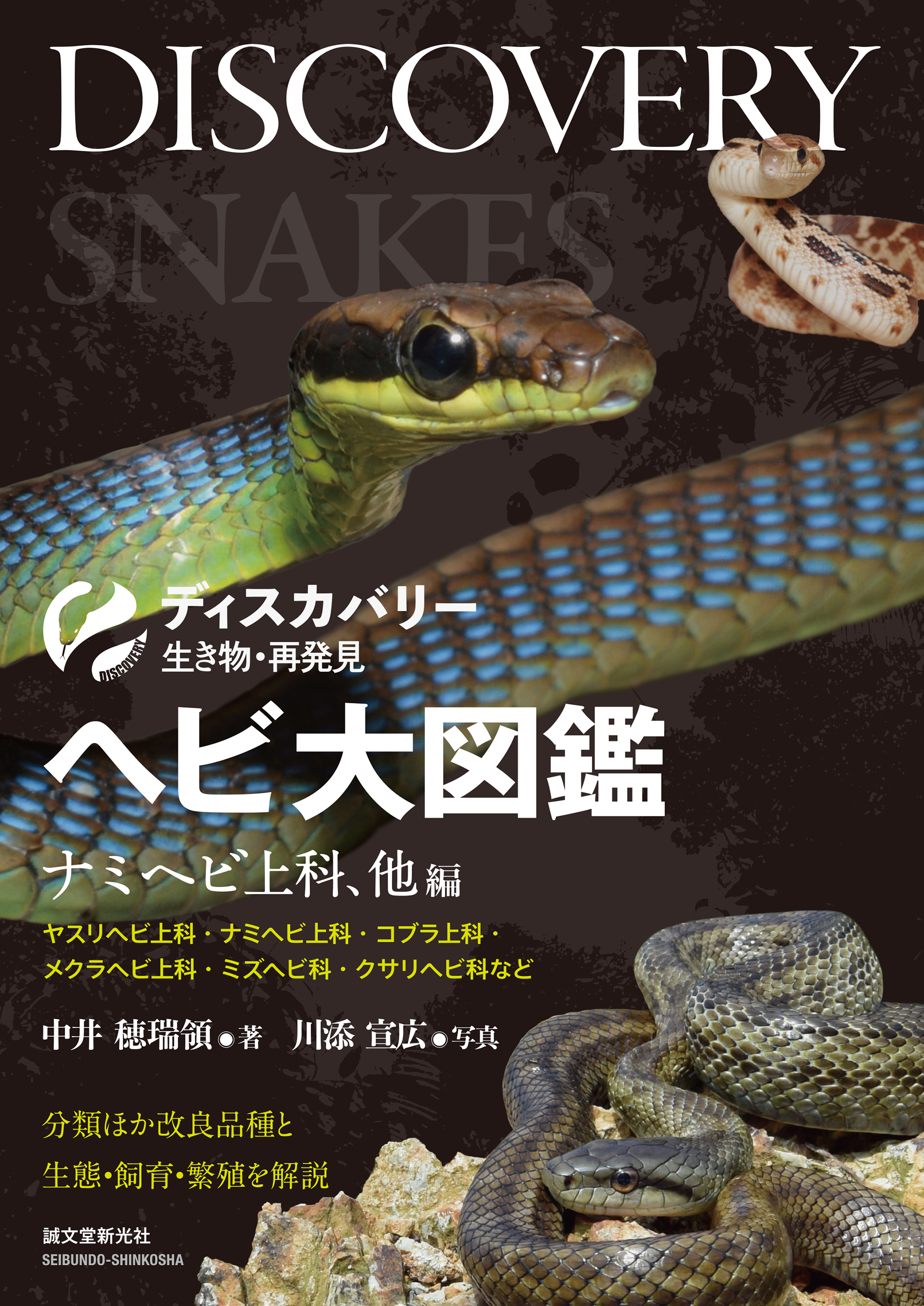 【送料無料】シュルツのエラフェ大図鑑 爬虫類 ヘビ ナミヘビ 洋書 飼育 飼育本