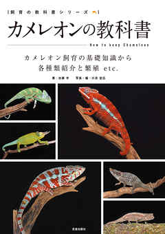 カメレオンの教科書 - 加藤学 - ビジネス・実用書・無料試し読みなら、電子書籍・コミックストア ブックライブ