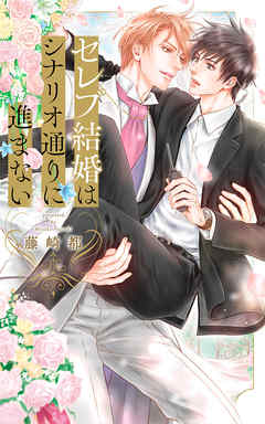 【電子限定おまけ付き】 セレブ結婚はシナリオ通りに進まない 【イラスト付き】