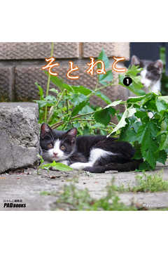 そとねこ　VOL.01 - mayuニャン - 写真集・無料試し読みなら、電子書籍・コミックストア ブックライブ