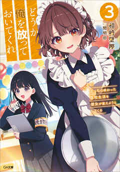 どうか俺を放っておいてくれ３　なぜかぼっちの終わった高校生活を彼女が変えようとしてくる