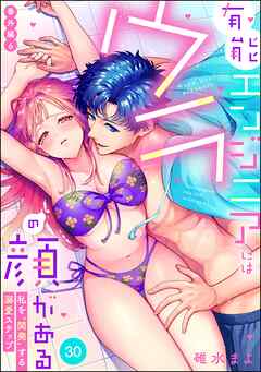 有能エンジニアにはウラの顔がある 私を“開発”する溺愛ステップ（分冊版）番外編6　【第30話】