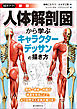 新版 人体解剖図から学ぶキャラクターデッサンの描き方：筋肉・骨格・内臓の構造を知ることで、より自然な人体画が描ける！