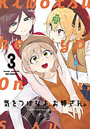 気をつけなよ、お姉さん。: 3【イラスト特典付】