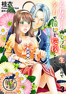 乙女ゲームのモブに転生したので全力で推しを応援します！ 蕩けるキスは誰のもの？ 【短編】3