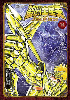 聖闘士星矢 Final Edition　14