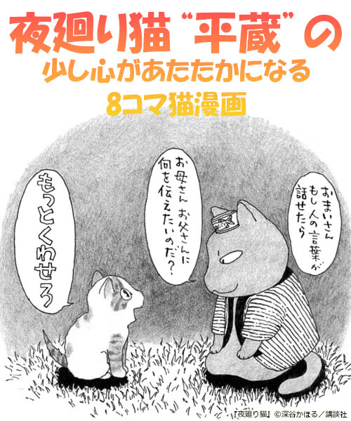 夜廻り猫 試し読み